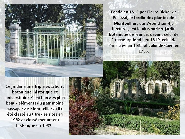 Fondé en 1593 par Pierre Richer de Belleval, le Jardin des plantes de Montpellier,