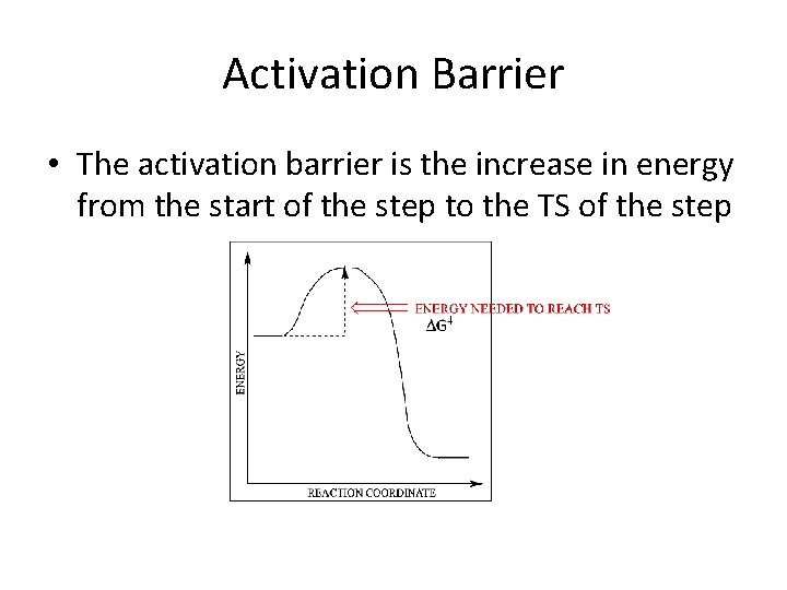 Activation Barrier • The activation barrier is the increase in energy from the start