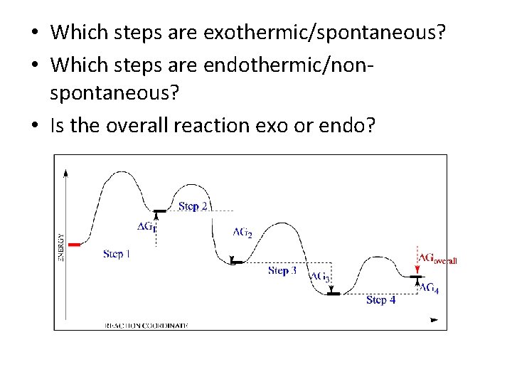  • Which steps are exothermic/spontaneous? • Which steps are endothermic/nonspontaneous? • Is the