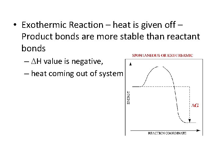  • Exothermic Reaction – heat is given off – Product bonds are more