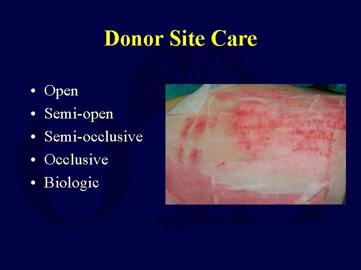 Donor Site Care • • • Open Semi-occlusive Occlusive Biologic 