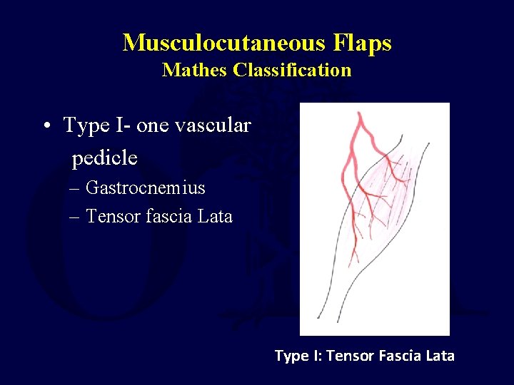 Musculocutaneous Flaps Mathes Classification • Type I- one vascular pedicle – Gastrocnemius – Tensor