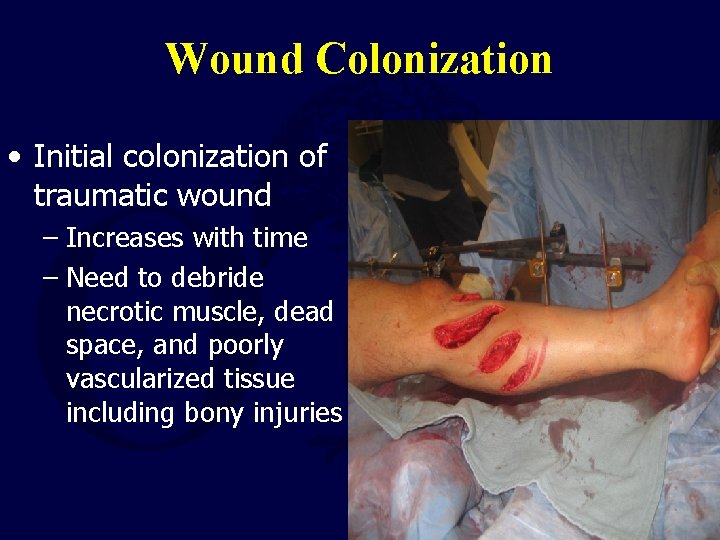 Wound Colonization • Initial colonization of traumatic wound – Increases with time – Need
