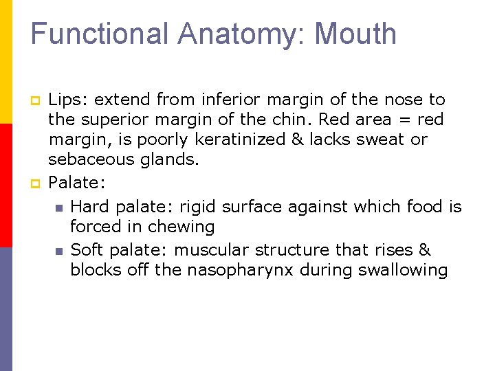 Functional Anatomy: Mouth p p Lips: extend from inferior margin of the nose to