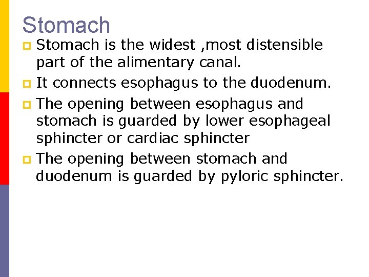 Stomach is the widest , most distensible part of the alimentary canal. p It