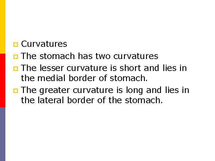 Curvatures p The stomach has two curvatures p The lesser curvature is short and