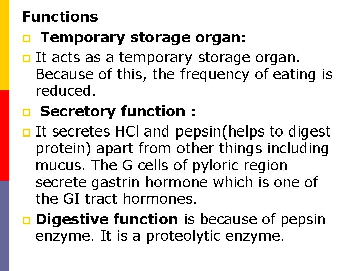 Functions p Temporary storage organ: p It acts as a temporary storage organ. Because