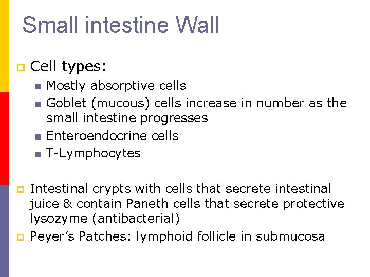 Small intestine Wall p Cell types: n n p p Mostly absorptive cells Goblet
