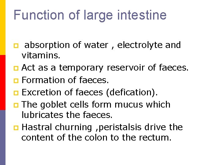 Function of large intestine absorption of water , electrolyte and vitamins. p Act as