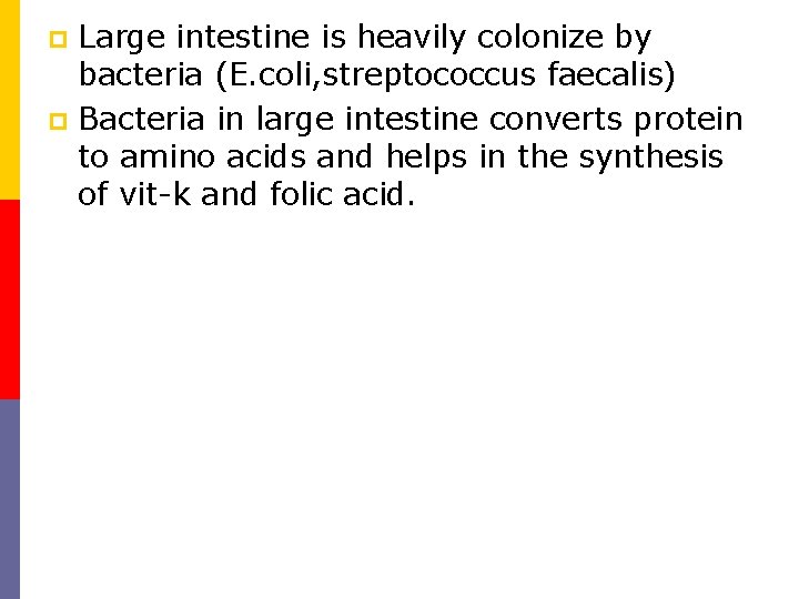 Large intestine is heavily colonize by bacteria (E. coli, streptococcus faecalis) p Bacteria in Large intestine is heavily colonize by bacteria (E. coli, streptococcus faecalis) p Bacteria in