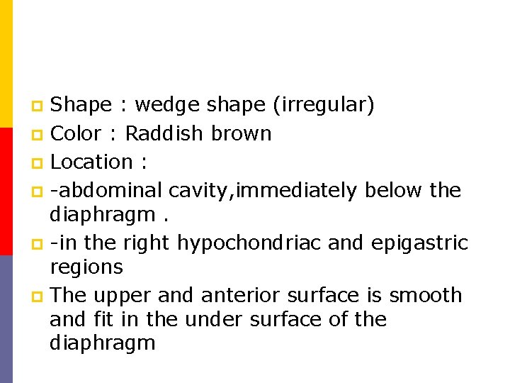 Shape : wedge shape (irregular) p Color : Raddish brown p Location : p