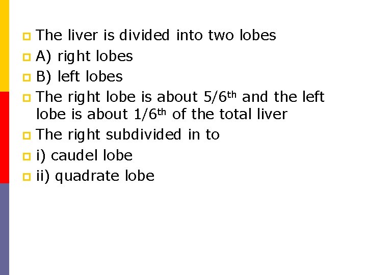 The liver is divided into two lobes p A) right lobes p B) left