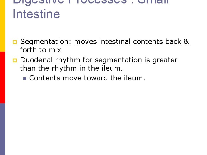 Digestive Processes : Small Intestine p p Segmentation: moves intestinal contents back & forth Digestive Processes : Small Intestine p p Segmentation: moves intestinal contents back & forth