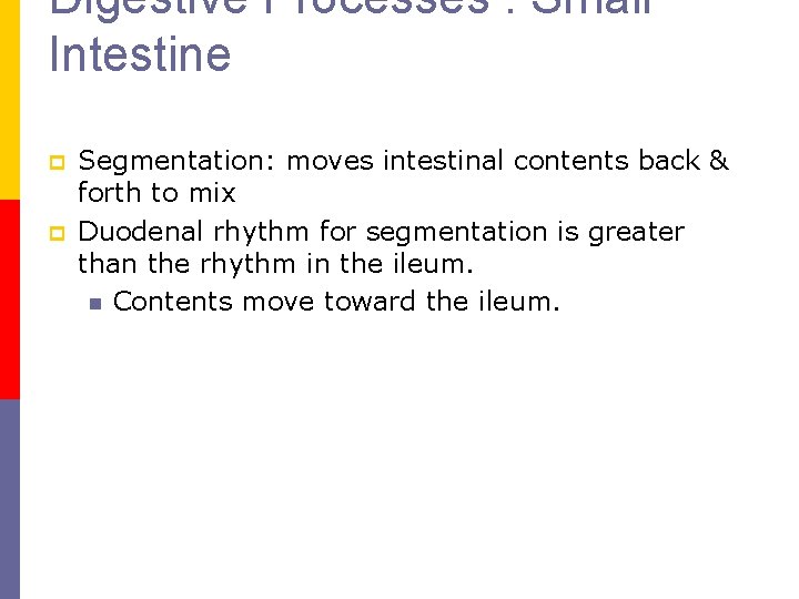 Digestive Processes : Small Intestine p p Segmentation: moves intestinal contents back & forth