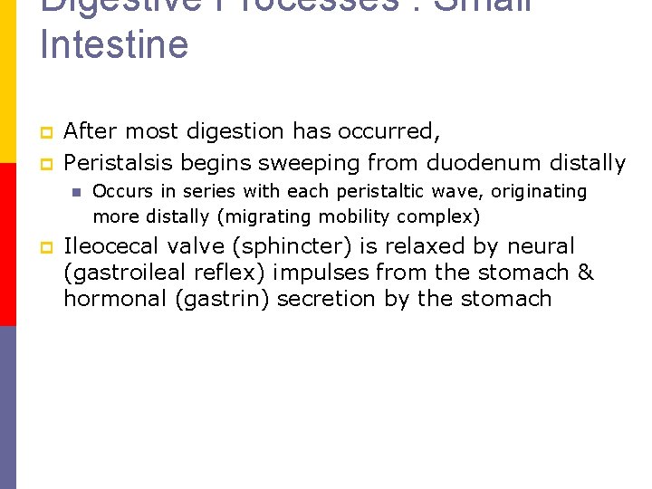 Digestive Processes : Small Intestine p p After most digestion has occurred, Peristalsis begins