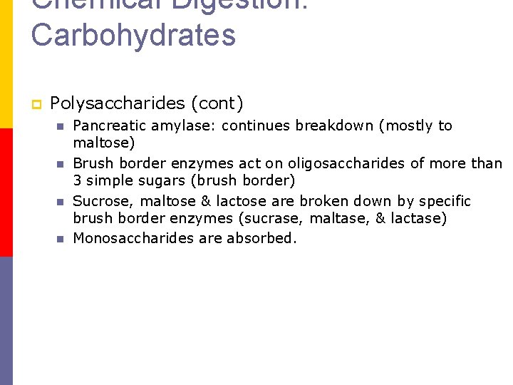 Chemical Digestion: Carbohydrates p Polysaccharides (cont) n n Pancreatic amylase: continues breakdown (mostly to