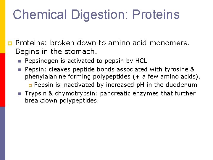 Chemical Digestion: Proteins p Proteins: broken down to amino acid monomers. Begins in the