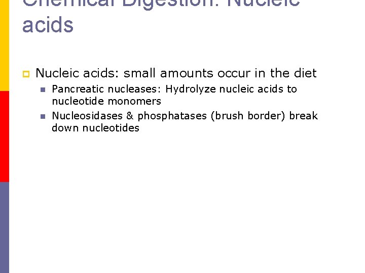 Chemical Digestion: Nucleic acids p Nucleic acids: small amounts occur in the diet n Chemical Digestion: Nucleic acids p Nucleic acids: small amounts occur in the diet n