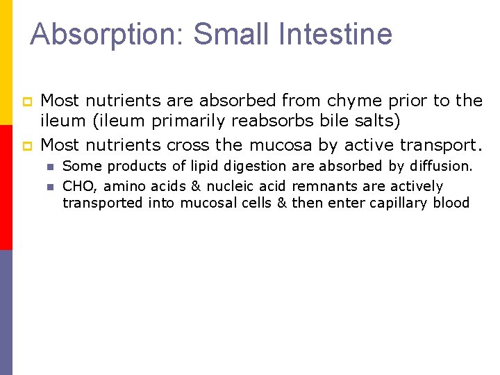 Absorption: Small Intestine p p Most nutrients are absorbed from chyme prior to the