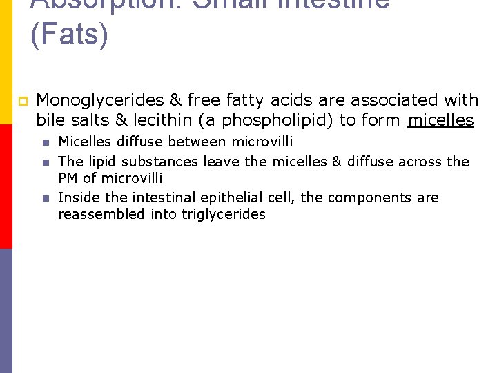 Absorption: Small Intestine (Fats) p Monoglycerides & free fatty acids are associated with bile Absorption: Small Intestine (Fats) p Monoglycerides & free fatty acids are associated with bile