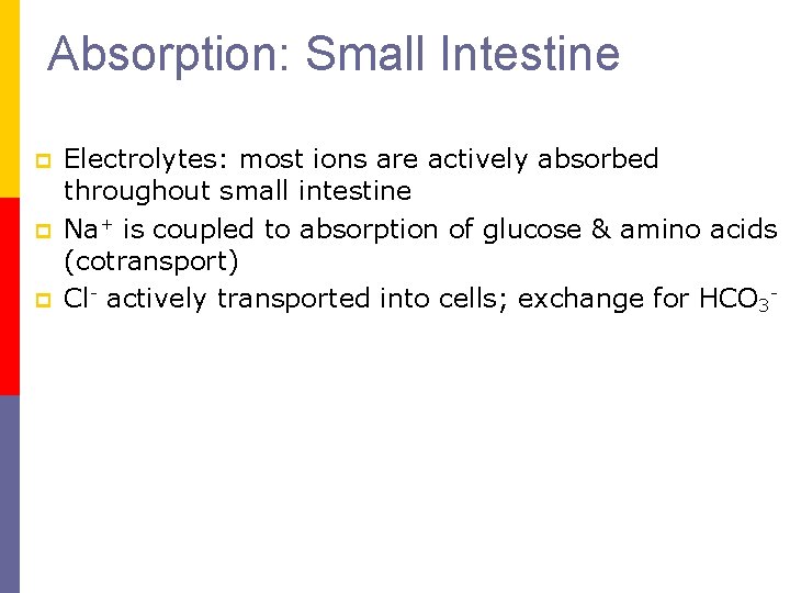 Absorption: Small Intestine p p p Electrolytes: most ions are actively absorbed throughout small