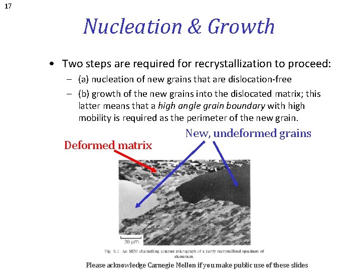 17 Nucleation & Growth • Two steps are required for recrystallization to proceed: –