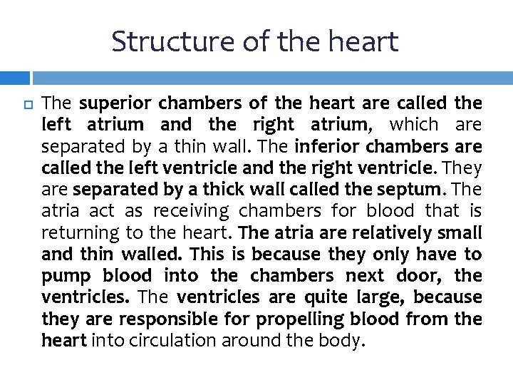 Structure of the heart The superior chambers of the heart are called the left