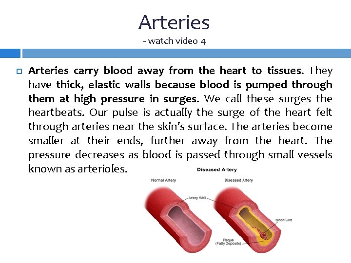 Arteries - watch video 4 Arteries carry blood away from the heart to tissues.