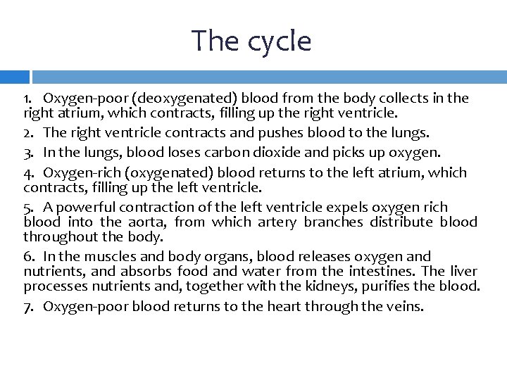 The cycle 1. Oxygen-poor (deoxygenated) blood from the body collects in the right atrium,