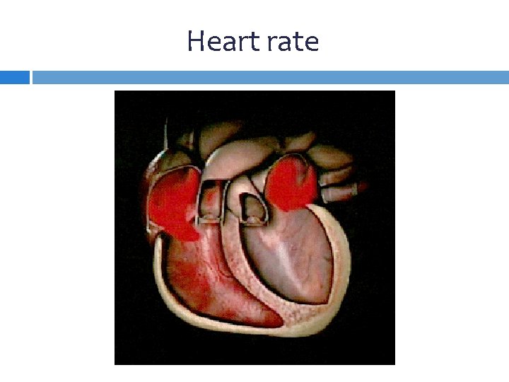 Heart rate 