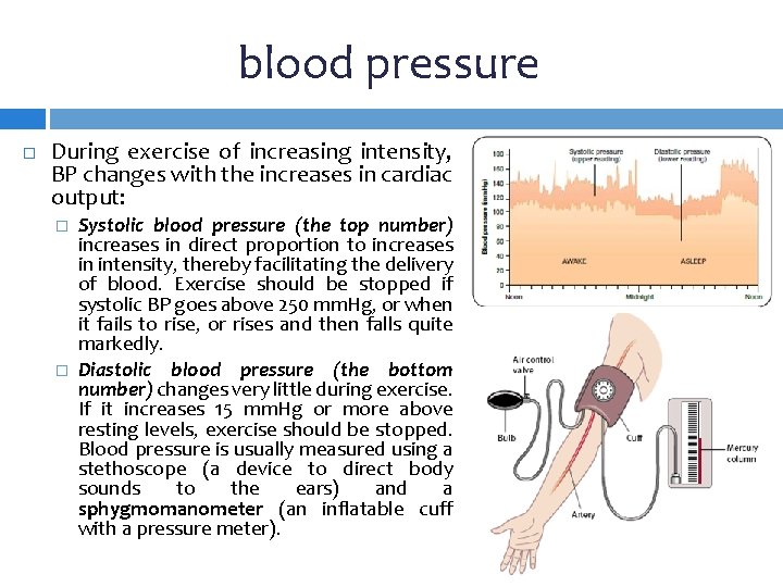 blood pressure During exercise of increasing intensity, BP changes with the increases in cardiac