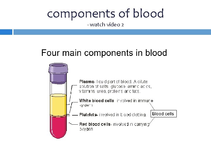 components of blood - watch video 2 