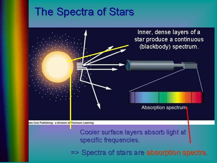 The Spectra of Stars Inner, dense layers of a star produce a continuous (blackbody)