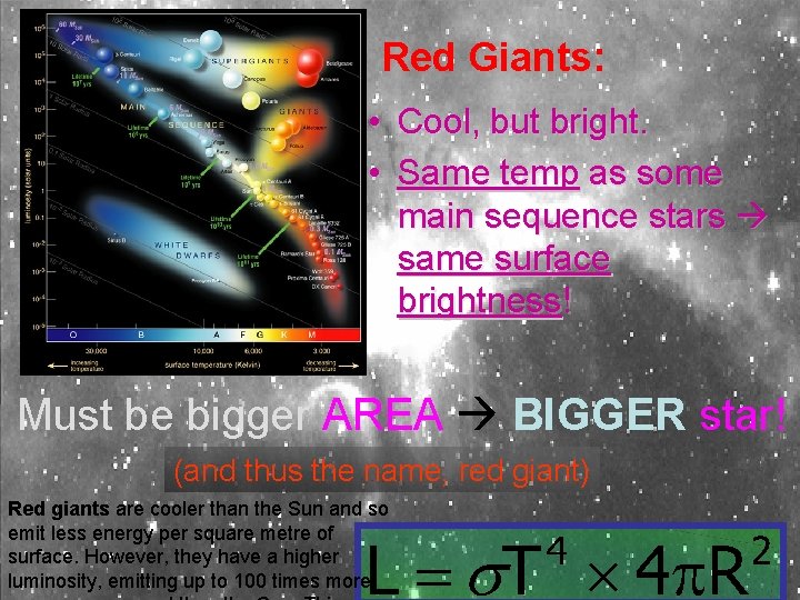 Red Giants: • Cool, but bright. • Same temp as some main sequence stars