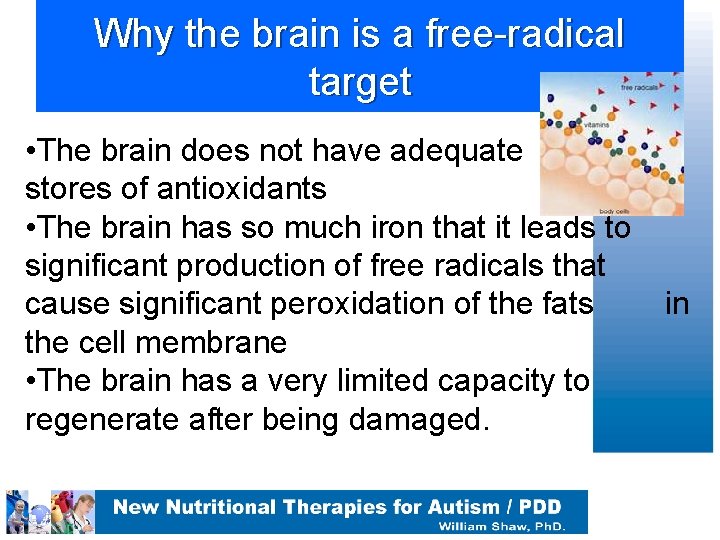 Why the brain is a free-radical target • The brain does not have adequate