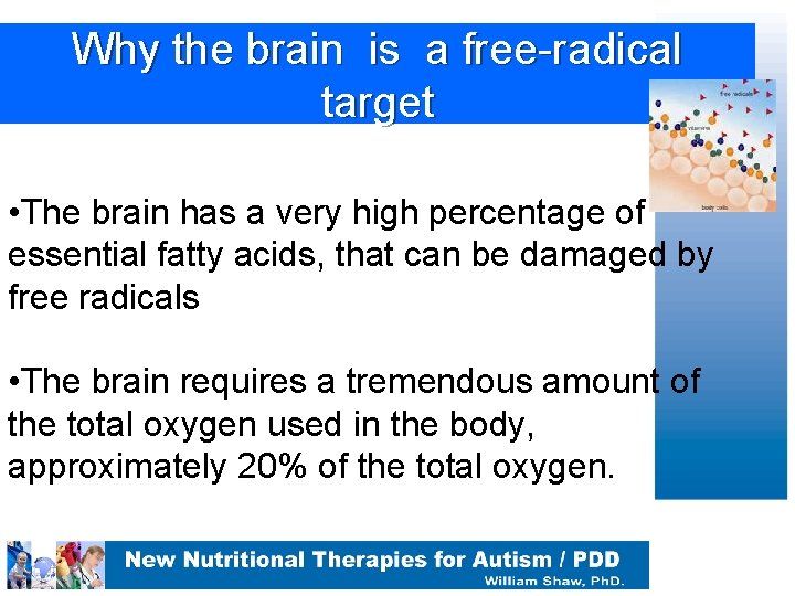 Why the brain is a free-radical target • The brain has a very high