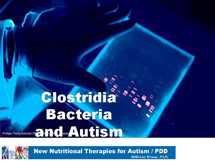 Clostridia Bacteria and Autism 