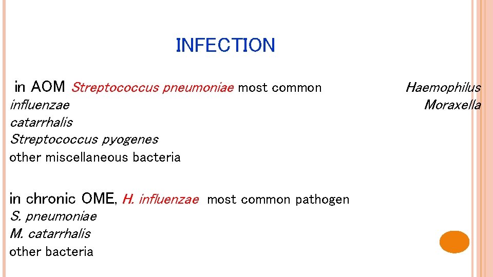 INFECTION in AOM Streptococcus pneumoniae most common influenzae catarrhalis Streptococcus pyogenes other miscellaneous bacteria