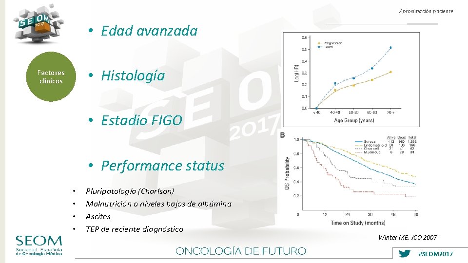Aproximación paciente • Edad avanzada • Histología Factores clinicos • Estadio FIGO • Performance