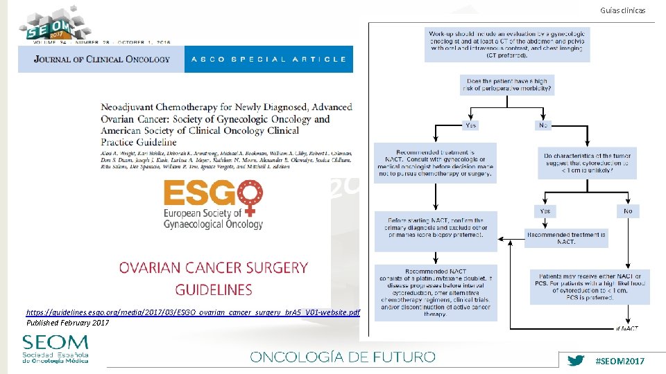 Guías clinicas https: //guidelines. esgo. org/media/2017/03/ESGO_ovarian_cancer_surgery_br. A 5_V 01 -website. pdf Published February 2017