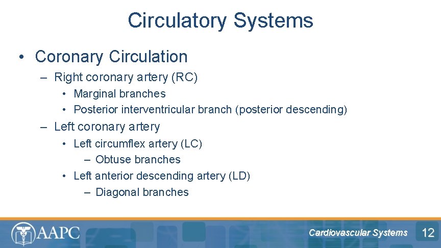 Circulatory Systems • Coronary Circulation – Right coronary artery (RC) • Marginal branches •