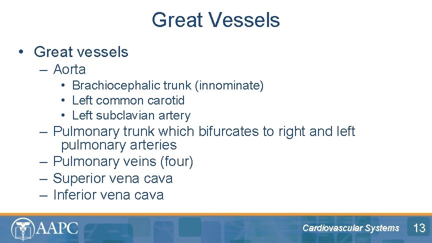 Great Vessels • Great vessels – Aorta • Brachiocephalic trunk (innominate) • Left common