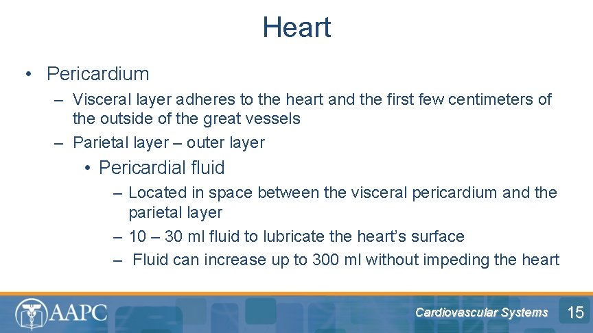 Heart • Pericardium – Visceral layer adheres to the heart and the first few