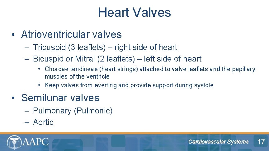 Heart Valves • Atrioventricular valves – Tricuspid (3 leaflets) – right side of heart