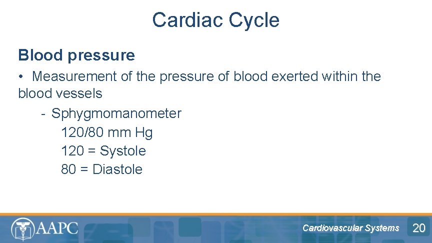 Cardiac Cycle Blood pressure • Measurement of the pressure of blood exerted within the