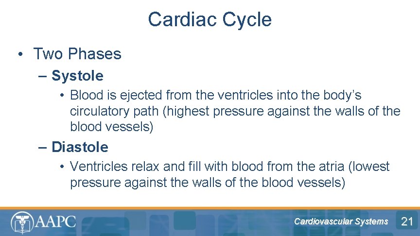 Cardiac Cycle • Two Phases – Systole • Blood is ejected from the ventricles