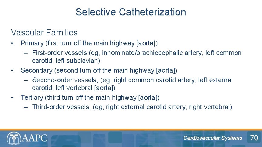 Selective Catheterization Vascular Families • • • Primary (first turn off the main highway
