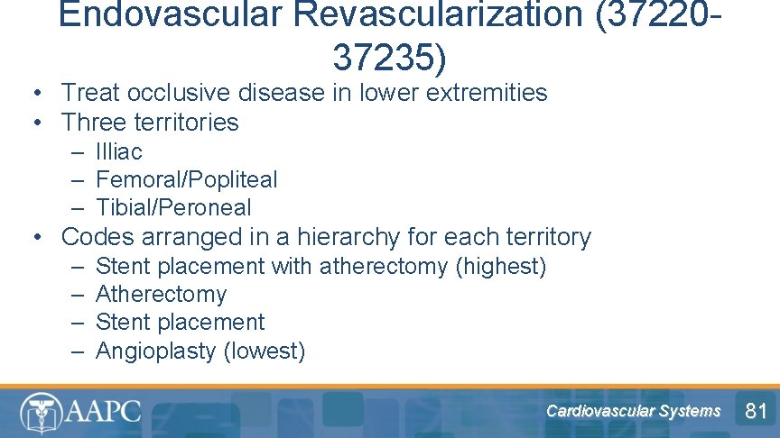 Endovascular Revascularization (3722037235) • Treat occlusive disease in lower extremities • Three territories –