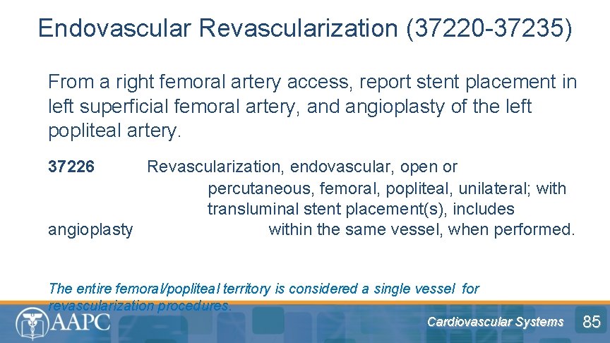 Endovascular Revascularization (37220 -37235) From a right femoral artery access, report stent placement in