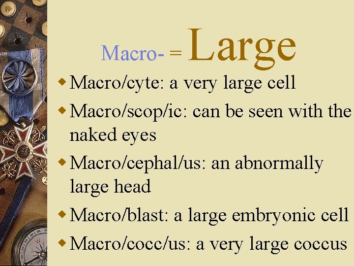 Macro- = Large w Macro/cyte: a very large cell w Macro/scop/ic: can be seen